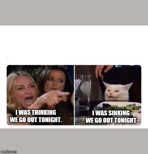 Housewives cat | I WAS SINKING WE GO OUT TONIGHT; I WAS THINKING WE GO OUT TONIGHT. | image tagged in housewives cat | made w/ Imgflip meme maker