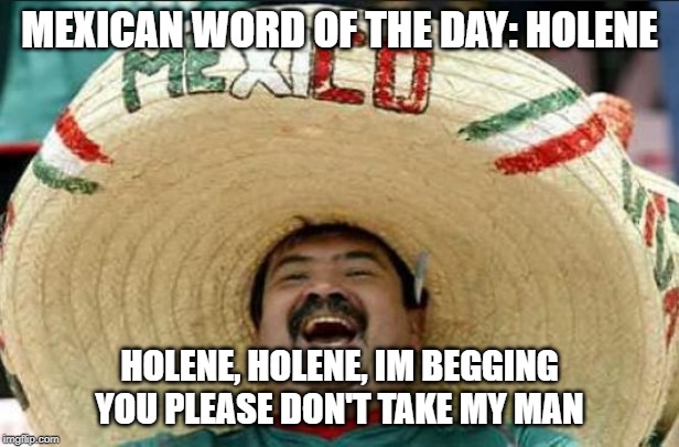 Mexican Word of the Day: Holene | MEXICAN WORD OF THE DAY: HOLENE; HOLENE, HOLENE, IM BEGGING YOU PLEASE DON'T TAKE MY MAN | image tagged in mexican word of the day,jolene,dolly parton,memes,funny,stupid | made w/ Imgflip meme maker