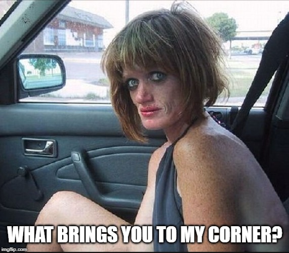 crack whore hooker | WHAT BRINGS YOU TO MY CORNER? | image tagged in crack whore hooker | made w/ Imgflip meme maker