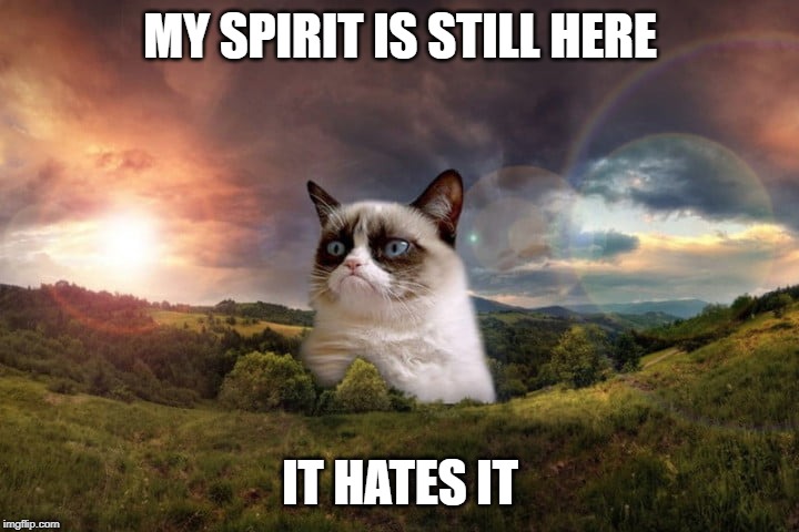 MY SPIRIT IS STILL HERE IT HATES IT | made w/ Imgflip meme maker