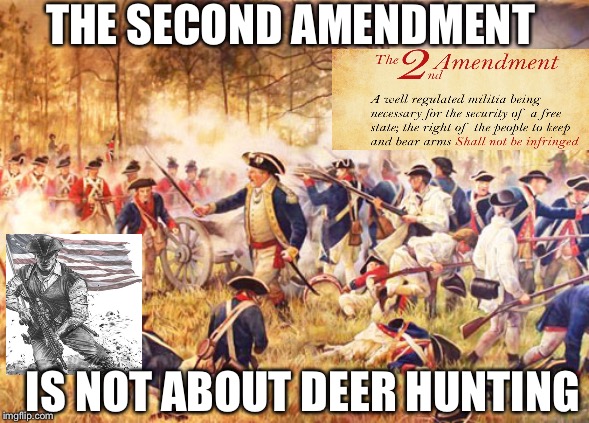 Revolutionary War |  THE SECOND AMENDMENT; IS NOT ABOUT DEER HUNTING | image tagged in revolutionary war,second amendment,2nd amendment,assault weapons | made w/ Imgflip meme maker