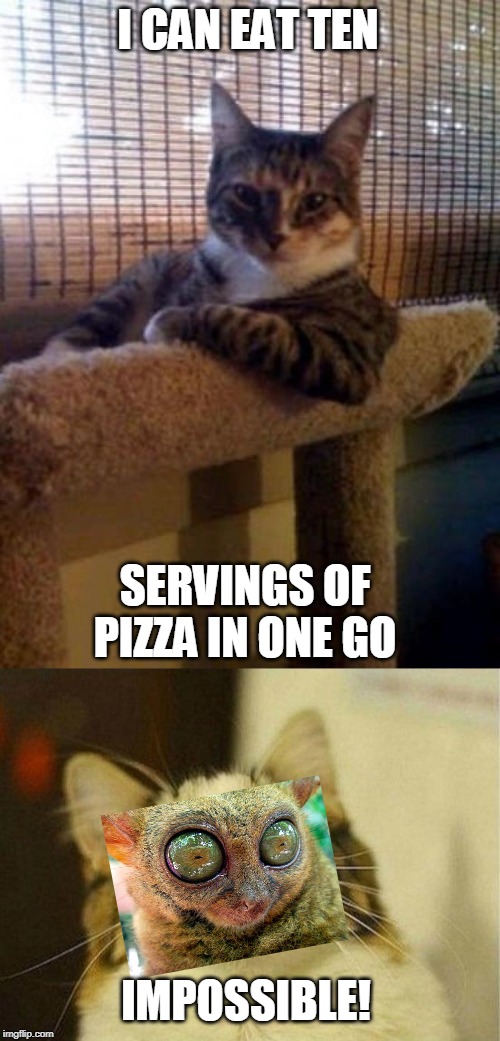 I CAN EAT TEN; SERVINGS OF PIZZA IN ONE GO; IMPOSSIBLE! | image tagged in memes,the most interesting cat in the world,scared cat | made w/ Imgflip meme maker