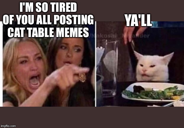 Southern Cat at Table | I'M SO TIRED OF YOU ALL POSTING CAT TABLE MEMES; YA'LL | image tagged in cat at table | made w/ Imgflip meme maker