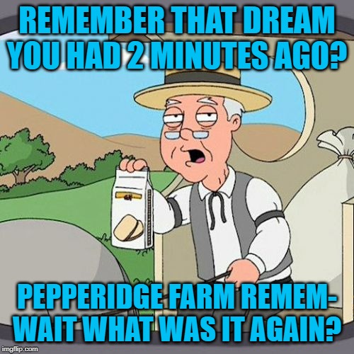 Pepperidge Farm Remembers Meme | REMEMBER THAT DREAM YOU HAD 2 MINUTES AGO? PEPPERIDGE FARM REMEM- WAIT WHAT WAS IT AGAIN? | image tagged in memes,pepperidge farm remembers | made w/ Imgflip meme maker