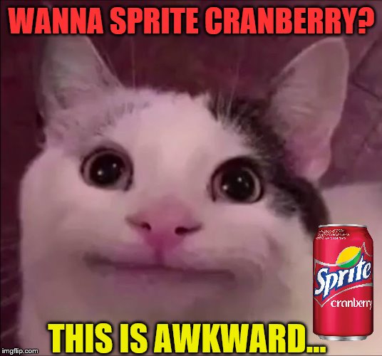 Awkward Smile Cat | WANNA SPRITE CRANBERRY? THIS IS AWKWARD... | image tagged in awkward smile cat | made w/ Imgflip meme maker