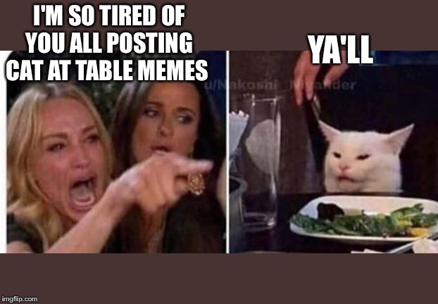 Southern Cat at Table | YA'LL; I'M SO TIRED OF YOU ALL POSTING CAT AT TABLE MEMES | image tagged in cat at table | made w/ Imgflip meme maker