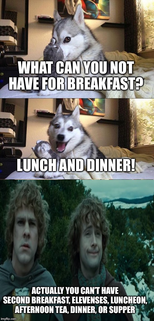 Bad Pun Dog Meme | WHAT CAN YOU NOT HAVE FOR BREAKFAST? LUNCH AND DINNER! ACTUALLY YOU CAN’T HAVE SECOND BREAKFAST, ELEVENSES, LUNCHEON, AFTERNOON TEA, DINNER, OR SUPPER | image tagged in memes,bad pun dog | made w/ Imgflip meme maker