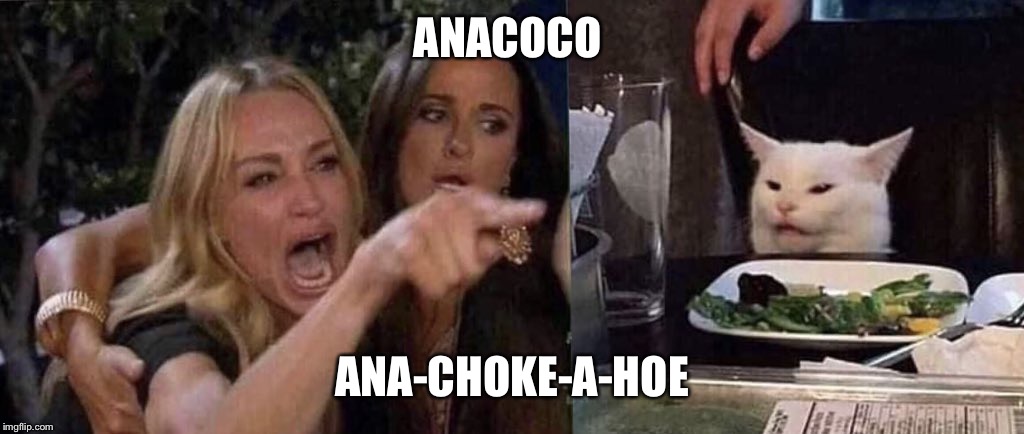 woman yelling at cat | ANACOCO; ANA-CHOKE-A-HOE | image tagged in woman yelling at cat | made w/ Imgflip meme maker