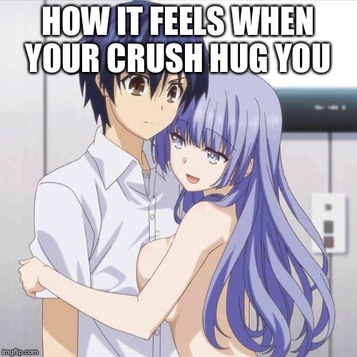 Blue Haired Anime Gay | HOW IT FEELS WHEN YOUR CRUSH HUG YOU | image tagged in blue haired anime gay | made w/ Imgflip meme maker