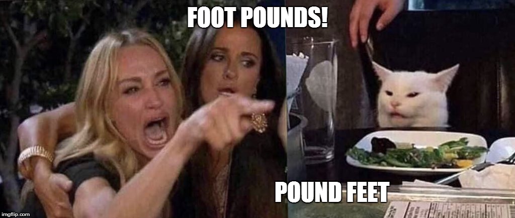 woman yelling at cat | FOOT POUNDS! POUND FEET | image tagged in woman yelling at cat | made w/ Imgflip meme maker