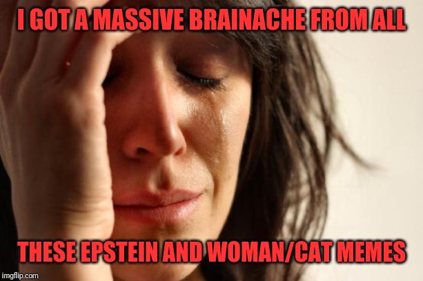 First World Problems Meme | I GOT A MASSIVE BRAINACHE FROM ALL; THESE EPSTEIN AND WOMAN/CAT MEMES | image tagged in memes,first world problems | made w/ Imgflip meme maker