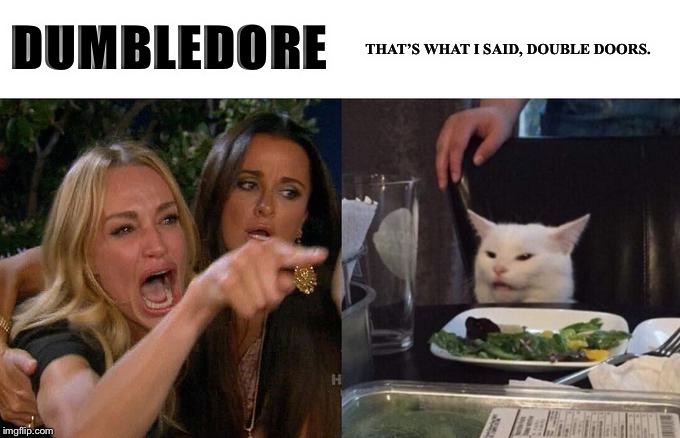 Woman Yelling At Cat Meme | DUMBLEDORE; THAT’S WHAT I SAID, DOUBLE DOORS. | image tagged in memes,woman yelling at cat | made w/ Imgflip meme maker