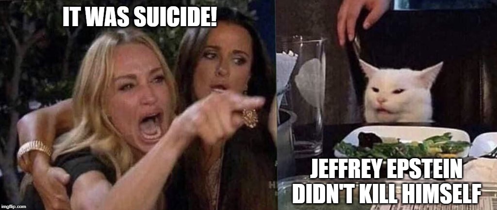 woman yelling at cat | IT WAS SUICIDE! JEFFREY EPSTEIN
DIDN'T KILL HIMSELF | image tagged in woman yelling at cat | made w/ Imgflip meme maker