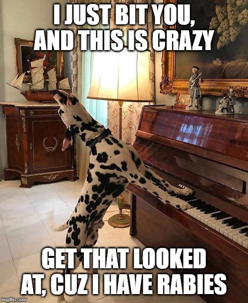 Dog sings | I JUST BIT YOU, AND THIS IS CRAZY; GET THAT LOOKED AT, CUZ I HAVE RABIES | image tagged in dog sings | made w/ Imgflip meme maker
