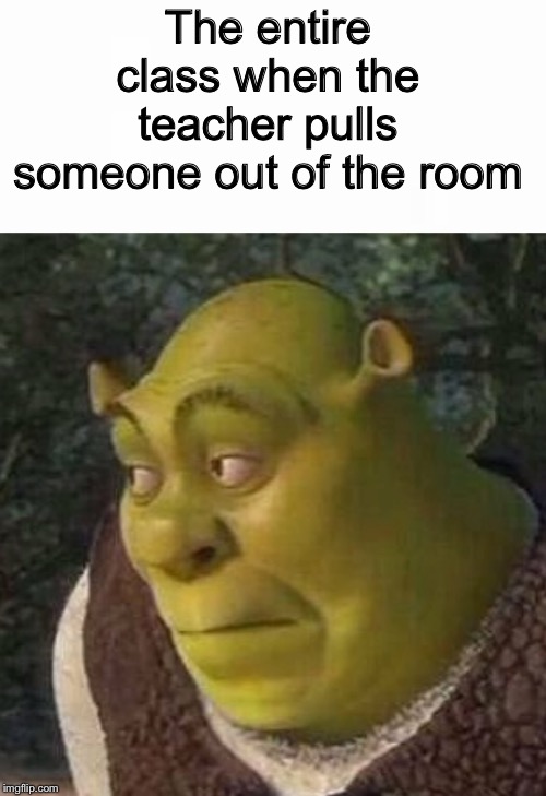 The entire class when the teacher pulls someone out of the room | image tagged in shrek | made w/ Imgflip meme maker