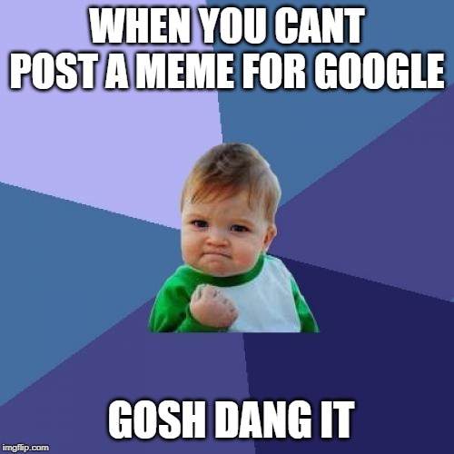 Success Kid Meme | WHEN YOU CANT POST A MEME FOR GOOGLE; GOSH DANG IT | image tagged in memes,success kid | made w/ Imgflip meme maker