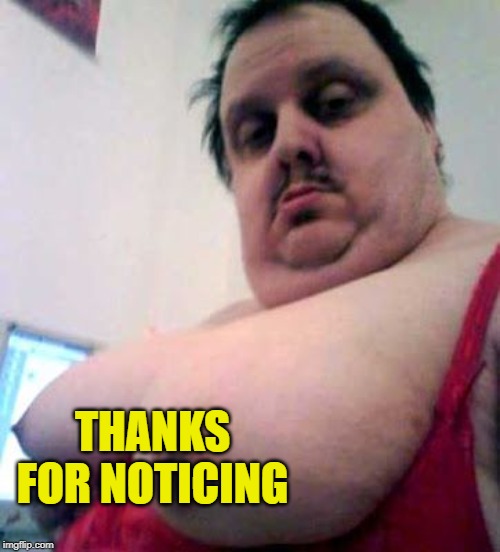 big man boobs | THANKS FOR NOTICING | image tagged in big man boobs | made w/ Imgflip meme maker