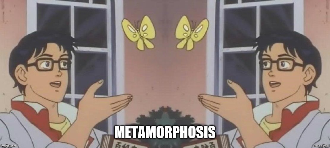 metamorphosis | METAMORPHOSIS | image tagged in memes,is this a pigeon | made w/ Imgflip meme maker