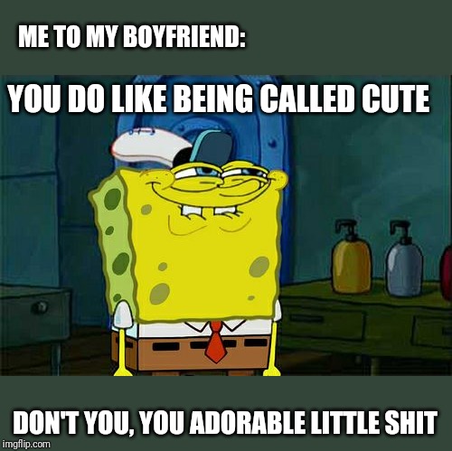 Frustrating Tsundere boyfriend | ME TO MY BOYFRIEND:; YOU DO LIKE BEING CALLED CUTE; DON'T YOU, YOU ADORABLE LITTLE SHIT | image tagged in memes,dont you squidward,boyfriend,cute,frustrating | made w/ Imgflip meme maker