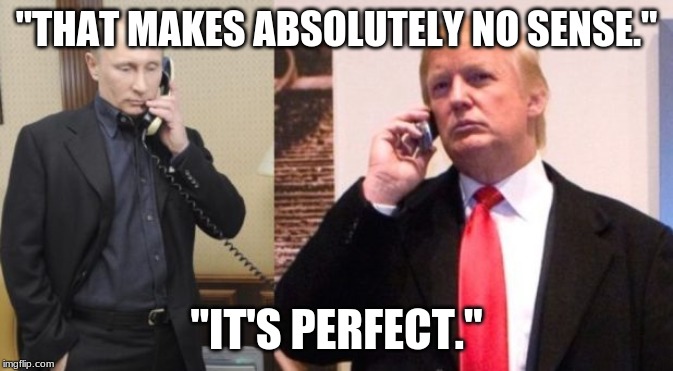 Trump Putin phone call | "THAT MAKES ABSOLUTELY NO SENSE."; "IT'S PERFECT." | image tagged in trump putin phone call | made w/ Imgflip meme maker