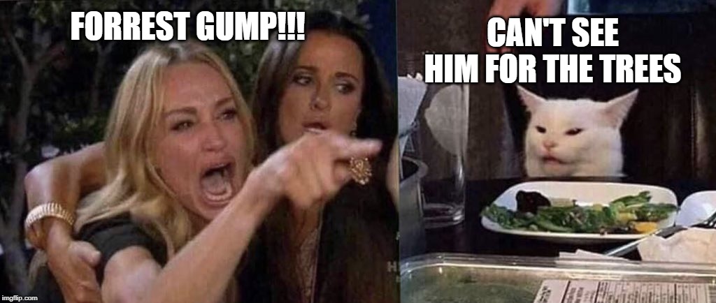 woman yelling at cat | FORREST GUMP!!! CAN'T SEE HIM FOR THE TREES | image tagged in woman yelling at cat | made w/ Imgflip meme maker