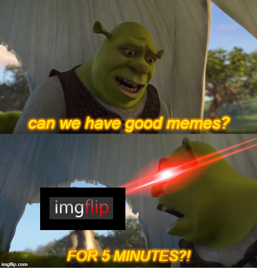 Seriously, what don't you people understand? | can we have good memes? FOR 5 MINUTES?! | image tagged in memes,shrek for five minutes,shrek,imgflip,meme,front page | made w/ Imgflip meme maker