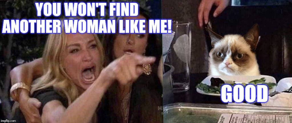 woman yelling at cat | YOU WON'T FIND ANOTHER WOMAN LIKE ME! GOOD | image tagged in woman yelling at cat | made w/ Imgflip meme maker