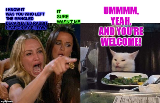 Woman Yelling At Cat | I KNOW IT WAS YOU WHO LEFT THE MANGLED DECAPITATED RABBIT HEAD ON MY PILLOW! UMMMM, YEAH, AND YOU'RE WELCOME! IT SURE WASN'T ME | image tagged in memes,woman yelling at cat | made w/ Imgflip meme maker