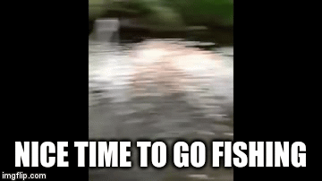 fishing is not a good idea | NICE TIME TO GO FISHING | image tagged in gifs,memes | made w/ Imgflip video-to-gif maker
