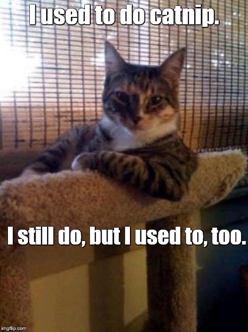 The Most Interesting Cat In The World Meme | I used to do catnip. I still do, but I used to, too. | image tagged in memes,the most interesting cat in the world,cats,catnip | made w/ Imgflip meme maker