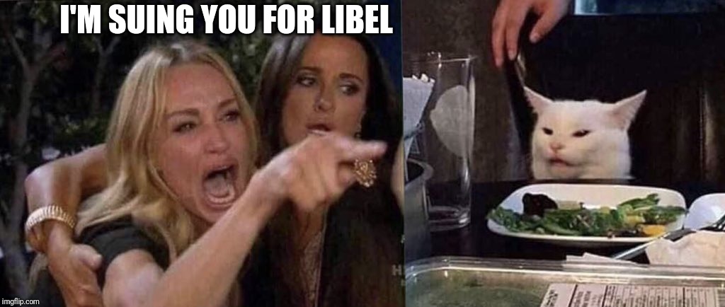 woman yelling at cat | I'M SUING YOU FOR LIBEL | image tagged in woman yelling at cat | made w/ Imgflip meme maker