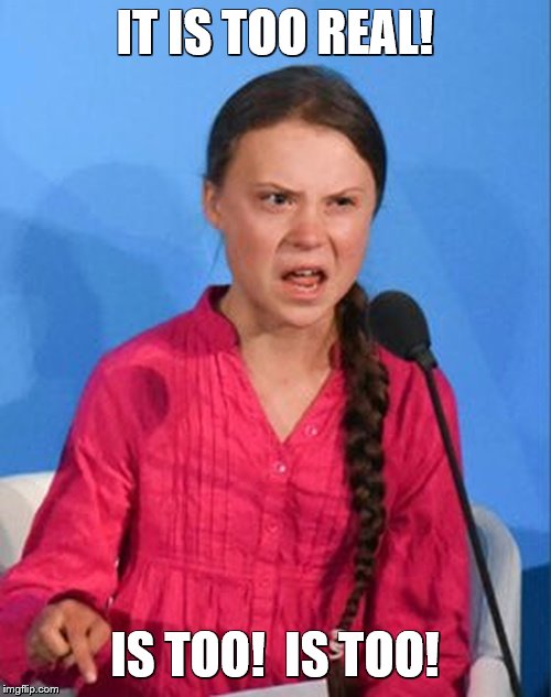 Greta Thunberg how dare you | IT IS TOO REAL! IS TOO!  IS TOO! | image tagged in greta thunberg how dare you | made w/ Imgflip meme maker