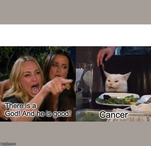 Woman Yelling At Cat Meme | There is a God! And he is good! Cancer | image tagged in memes,woman yelling at cat | made w/ Imgflip meme maker
