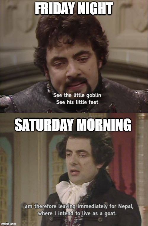 Drink responsibly, everybody. | FRIDAY NIGHT; SATURDAY MORNING | image tagged in i am therefore leaving immediately for nepal,blackadder,hangover,drunk | made w/ Imgflip meme maker