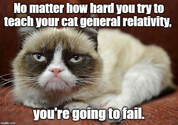 Teaching to cat | No matter how hard you try to teach your cat general relativity, you're going to fail. | image tagged in grumpy cat | made w/ Imgflip meme maker