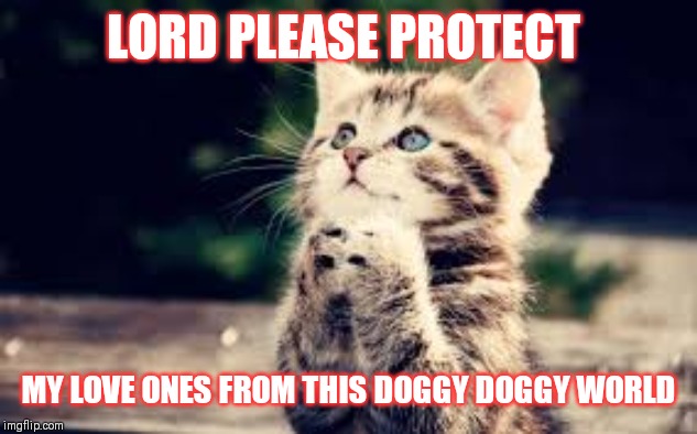 Jroc113 | LORD PLEASE PROTECT; MY LOVE ONES FROM THIS DOGGY DOGGY WORLD | image tagged in prayer | made w/ Imgflip meme maker
