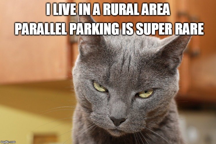 Try Me | I LIVE IN A RURAL AREA PARALLEL PARKING IS SUPER RARE | image tagged in try me | made w/ Imgflip meme maker
