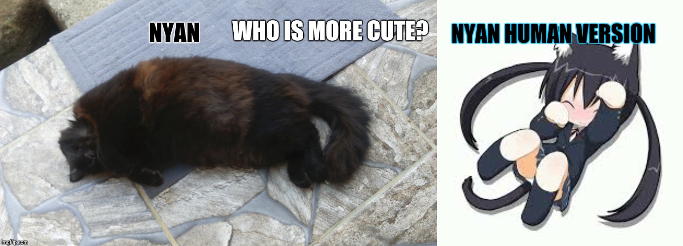 WHO IS MORE CUTE? NYAN HUMAN VERSION; NYAN | image tagged in nya | made w/ Imgflip meme maker