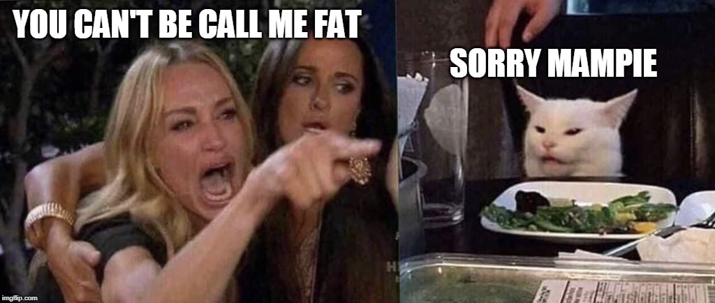 woman yelling at cat | SORRY MAMPIE; YOU CAN'T BE CALL ME FAT | image tagged in woman yelling at cat | made w/ Imgflip meme maker