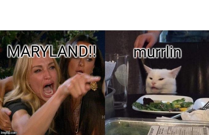 Woman Yelling At Cat | MARYLAND!! murrlin | image tagged in memes,woman yelling at cat | made w/ Imgflip meme maker