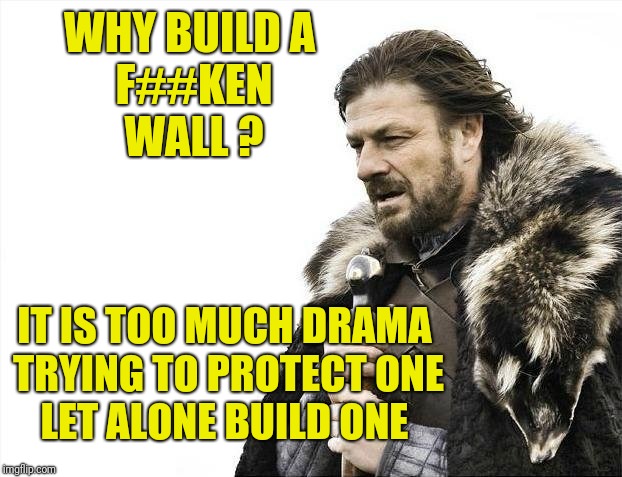 Why build a (swear word) wall? | WHY BUILD A 
F##KEN
WALL ? IT IS TOO MUCH DRAMA 
TRYING TO PROTECT ONE
LET ALONE BUILD ONE | image tagged in memes,brace yourselves x is coming,donald trump,donald trump approves,greta thunberg,funny memes | made w/ Imgflip meme maker