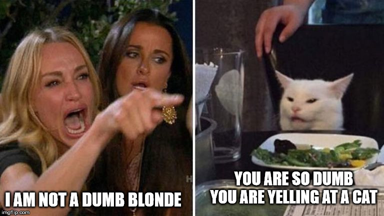 Dumb Blonde | YOU ARE SO DUMB YOU ARE YELLING AT A CAT; I AM NOT A DUMB BLONDE | image tagged in dumb blonde,cat,funny memes | made w/ Imgflip meme maker