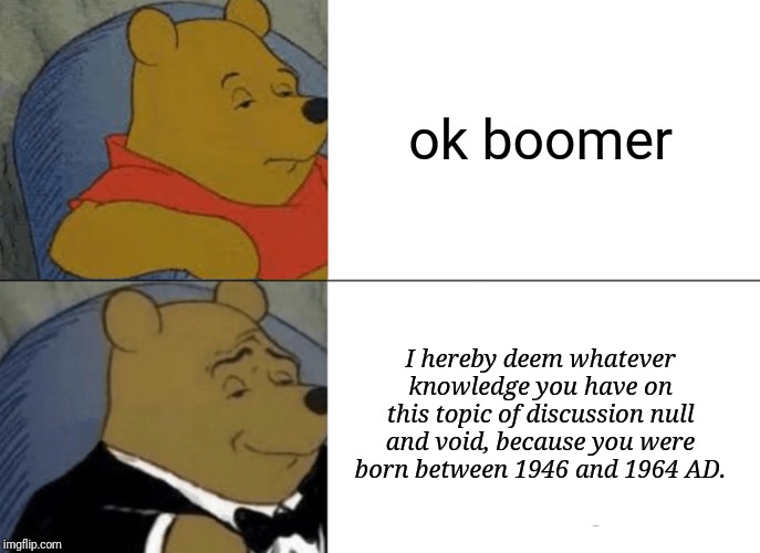 Tuxedo Winnie The Pooh | ok boomer; I hereby deem whatever knowledge you have on this topic of discussion null and void, because you were born between 1946 and 1964 AD. | image tagged in memes,tuxedo winnie the pooh | made w/ Imgflip meme maker