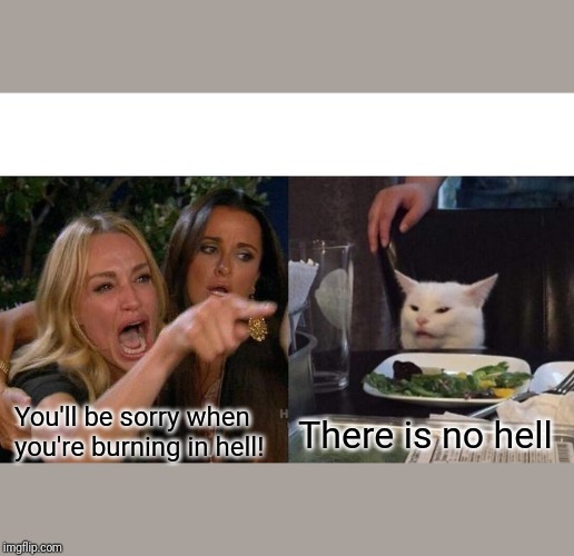 Woman Yelling At Cat | You'll be sorry when you're burning in hell! There is no hell | image tagged in memes,woman yelling at cat | made w/ Imgflip meme maker