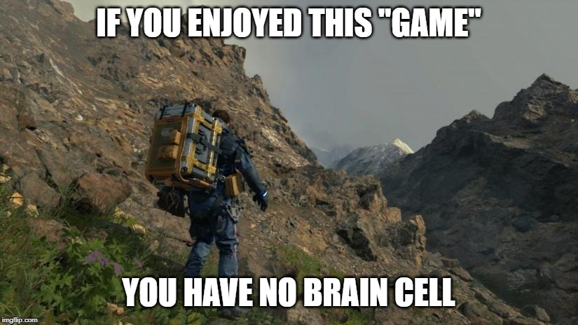 Death Stranding | IF YOU ENJOYED THIS "GAME"; YOU HAVE NO BRAIN CELL | image tagged in death stranding,video games,brain,retard | made w/ Imgflip meme maker