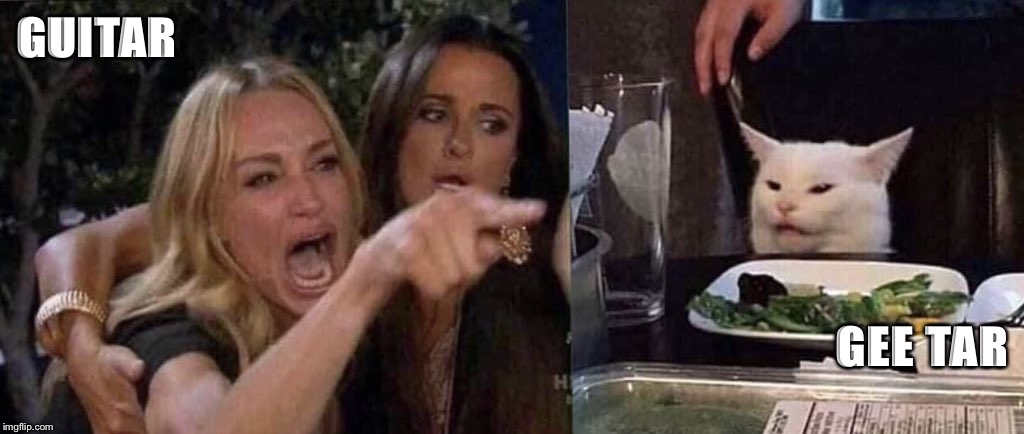 woman yelling at cat | GUITAR; GEE TAR | image tagged in woman yelling at cat | made w/ Imgflip meme maker