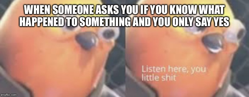Listen here you little shit bird | WHEN SOMEONE ASKS YOU IF YOU KNOW WHAT HAPPENED TO SOMETHING AND YOU ONLY SAY YES | image tagged in listen here you little shit bird | made w/ Imgflip meme maker
