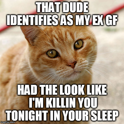 THAT DUDE IDENTIFIES AS MY EX GF HAD THE LOOK LIKE  I'M KILLIN YOU TONIGHT IN YOUR SLEEP | made w/ Imgflip meme maker