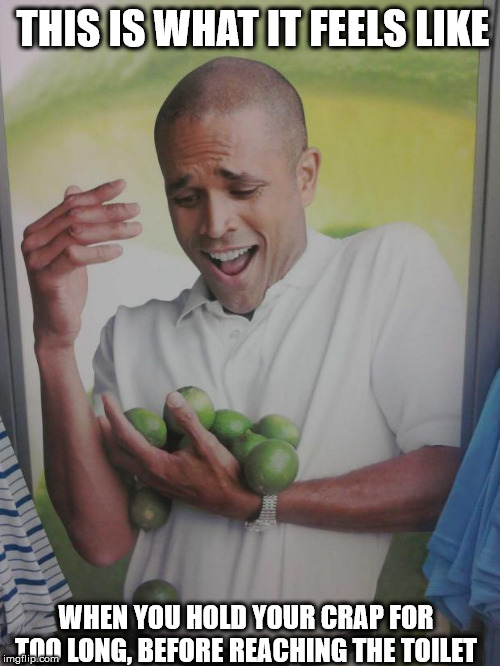 Why Can't I Hold All These Limes Meme | THIS IS WHAT IT FEELS LIKE; WHEN YOU HOLD YOUR CRAP FOR TOO LONG, BEFORE REACHING THE TOILET | image tagged in memes,why can't i hold all these limes | made w/ Imgflip meme maker