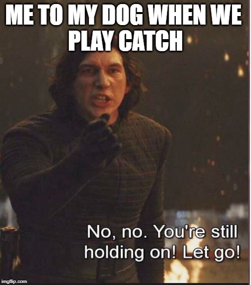 When u play catch with ur dog | ME TO MY DOG WHEN WE 
PLAY CATCH | image tagged in star wars | made w/ Imgflip meme maker